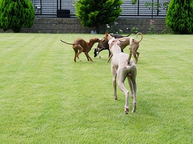 170716_4.jpg