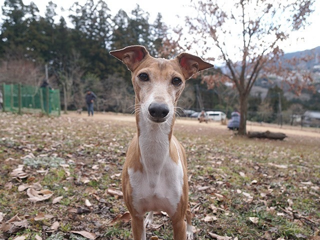 190131_7.jpg