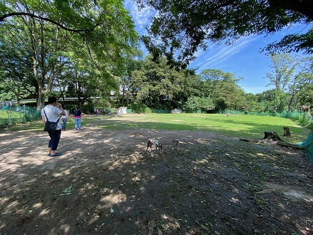 200713_7.jpg