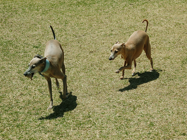 230506_4.jpg