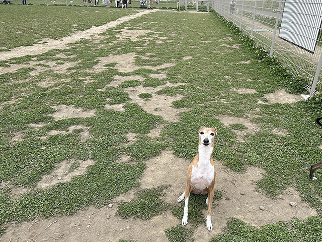 230517_4.jpg