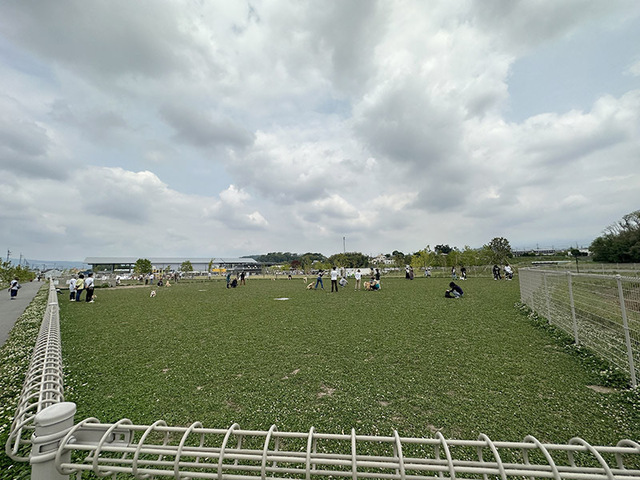 230517_6.jpg