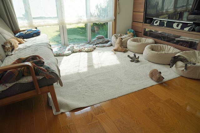 230920_1.jpg