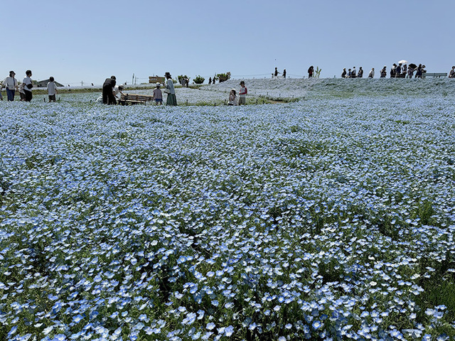 240501_6.jpg