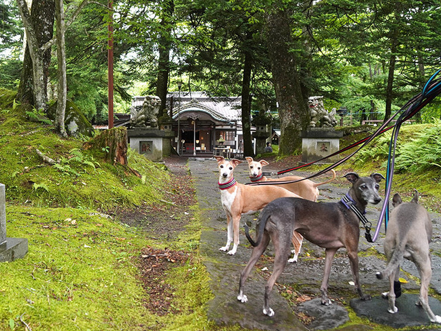 240630_3.jpg