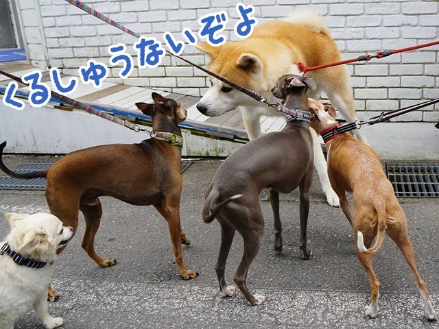 240702_4.jpg