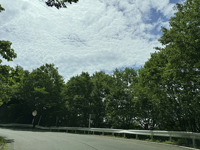 240728_3.jpg