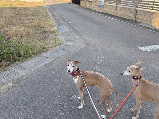241105_3.jpg