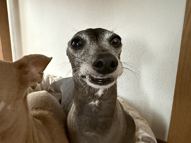 250415_3.jpg